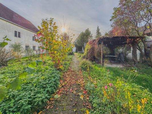 Gartenbereich