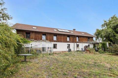 Wiesenaue Häuser, Wiesenaue Haus kaufen