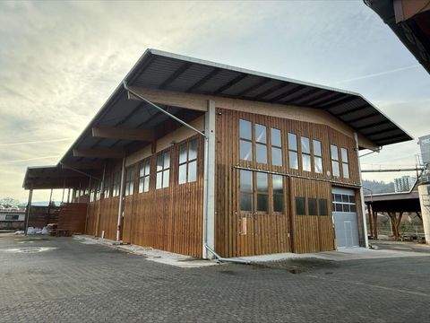 Rotenburg Halle, Rotenburg Hallenfläche