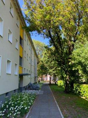 Außenansicht vorne mit Fassade, Fenstern, Eingang und Begrünung