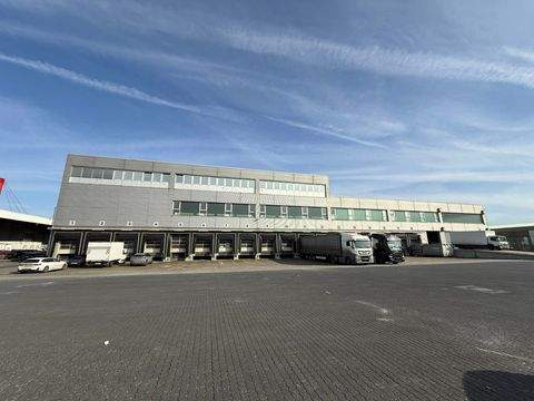 Duisburg Halle, Duisburg Hallenfläche