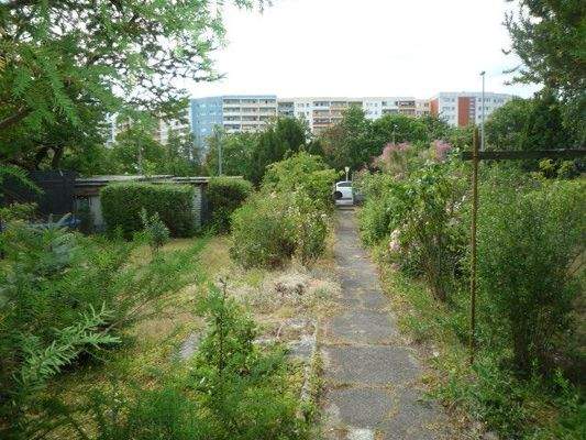 Blick aus dem Grundstück