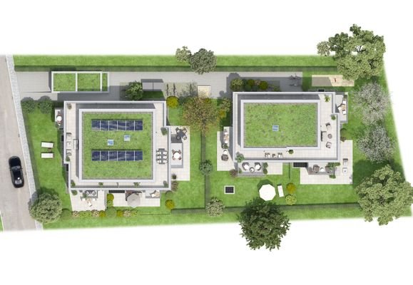 6091_Houses_Top View_Final.jpg