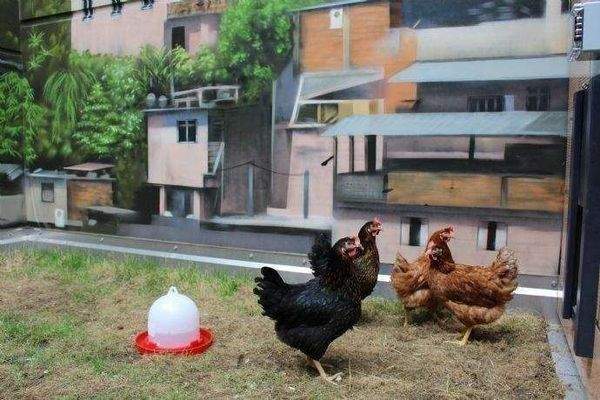 Hottest chicks in Town