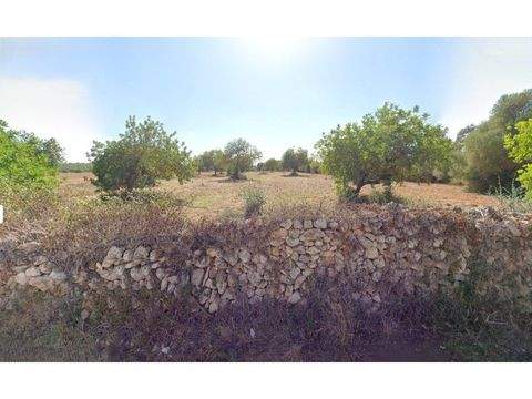 Llucmajor Grundstücke, Llucmajor Grundstück kaufen