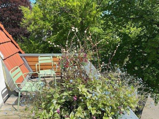 Ausblick von der Terrasse (Ost)