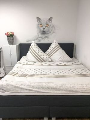 115 Boxspringbett (1 von 1)