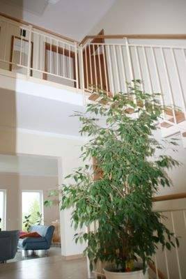 Individuelle Gestaltungsmöglichkeiten