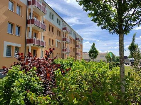 Calau Wohnungen, Calau Wohnung mieten