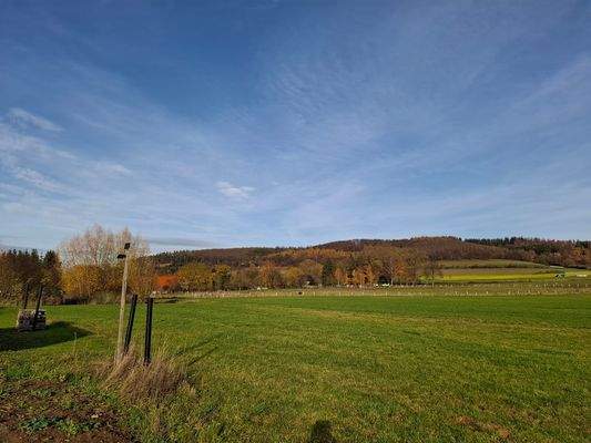 Ansicht Flurstück 24-4.jpg