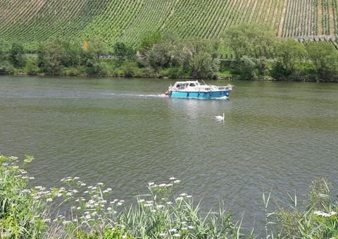 Neumagen-Dhron Bauernhöfe, Landwirtschaft, Neumagen-Dhron Forstwirtschaft