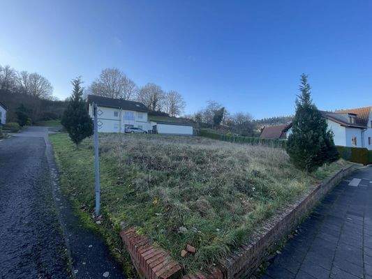 Straßenansicht links