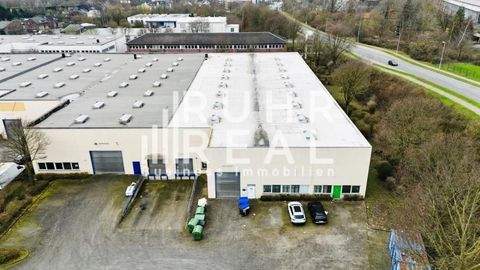 Krefeld Halle, Krefeld Hallenfläche