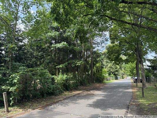 Blick in eine Anliegerstraße - links befindet sich das Grundstück