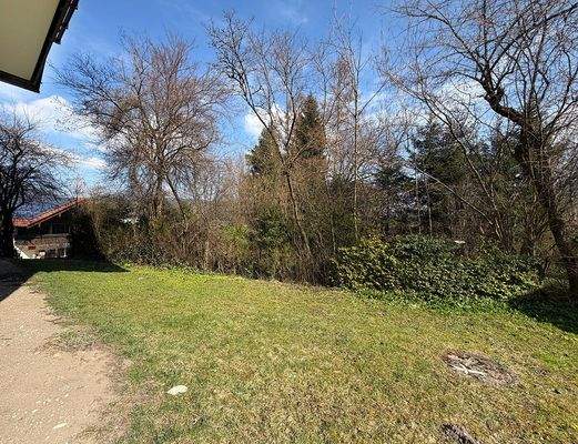 Gemeinschaftsgarten_2.