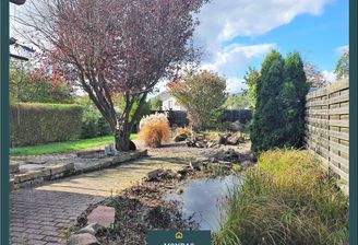 Blick in den Gartenbereich