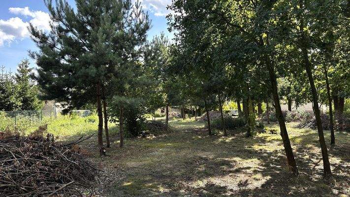 Grundstück Bild 1.jpg