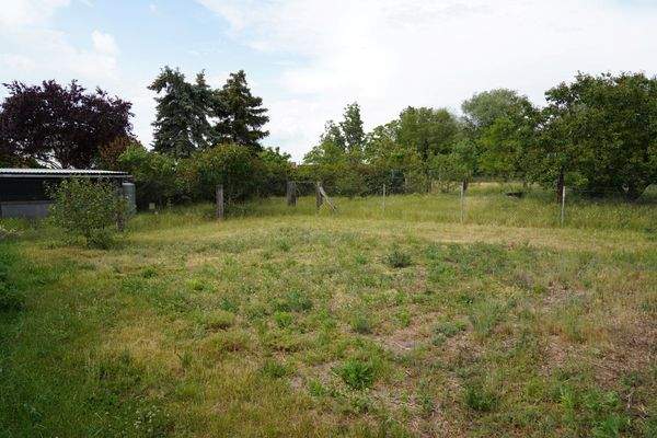 weitläufige Grünflächen