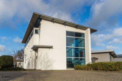 Braak Halle, Braak Hallenfläche