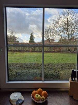 Aussicht Fenster Küche