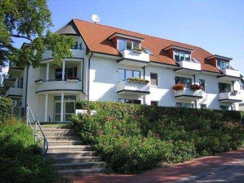 Plau am See Wohnungen, Plau am See Wohnung mieten