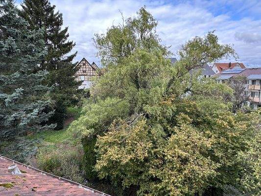 DG Aussicht in den Garten