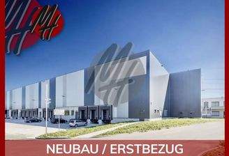 INFOS UNTER: 06171-586000