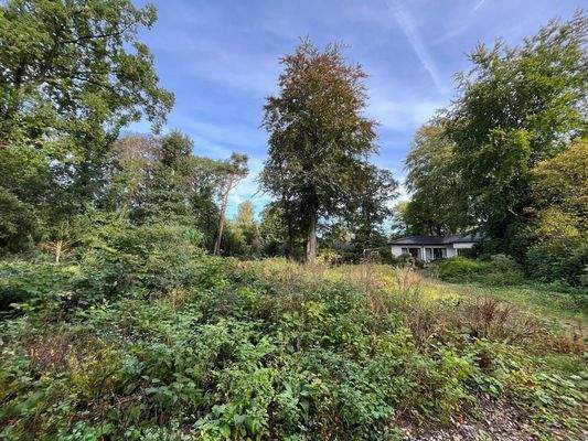 Blickrichtung - Osten