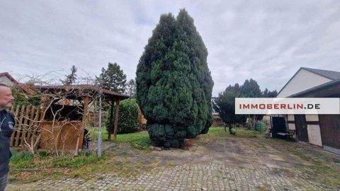 Nauen Häuser, Nauen Haus kaufen