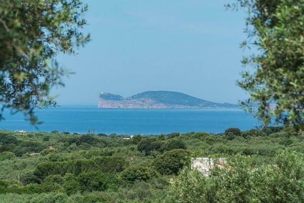 Villa Meerblick Sardinien kaufen (31)