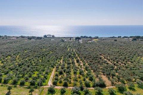 ??????????? Grundstücke, ??????????? Grundstück kaufen