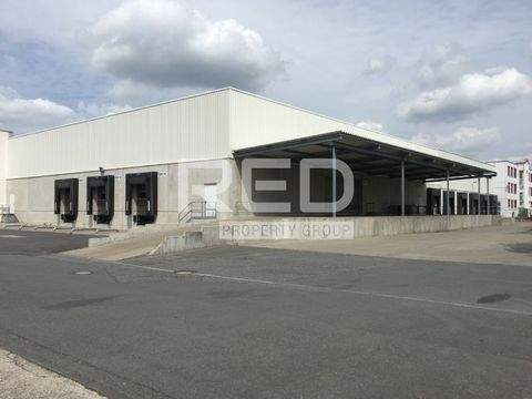 Gelsenkirchen Halle, Gelsenkirchen Hallenfläche