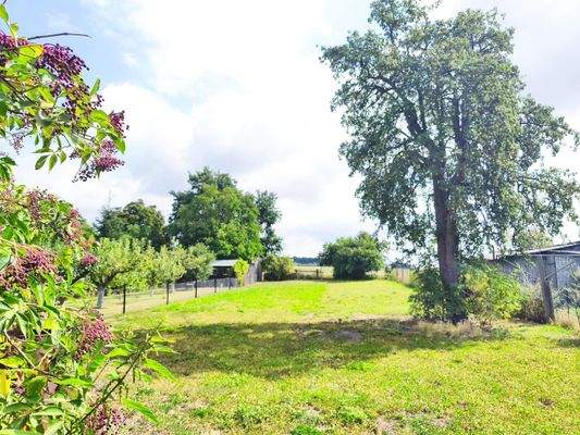 herrliches Grundstück