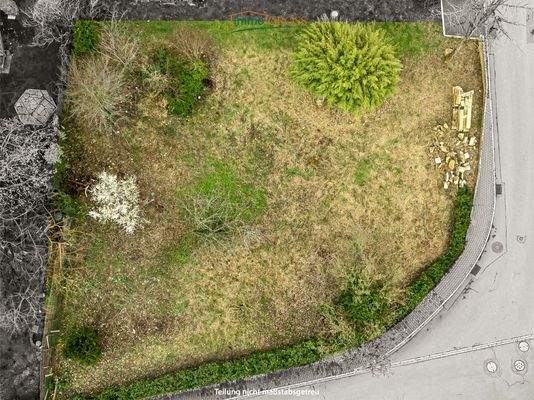 Das gesamte Grundstück