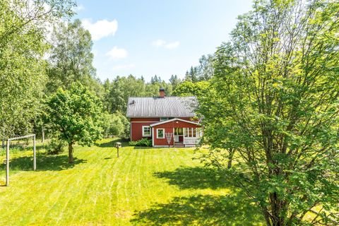 Sunnemo Häuser, Sunnemo Haus kaufen
