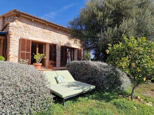 Südseite mit Wohnzimmerfenster