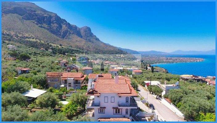 e6e53aaadb37417baf14e76f2a86ef8b-original