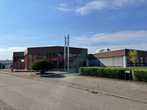Leingarten Halle, Leingarten Hallenfläche