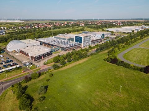 Bitterfeld-Wolfen Halle, Bitterfeld-Wolfen Hallenfläche