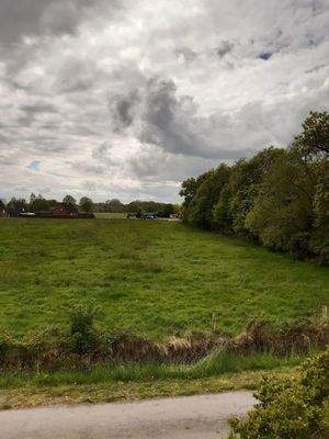 Blick aus dem Wohnzimmer