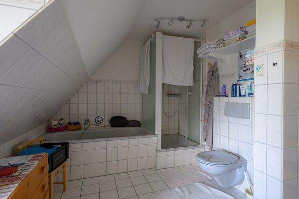 Badewanne, Dusche und WC.jpg