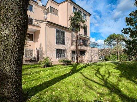 Centar Häuser, Centar Haus mieten 