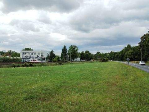 Neustadt b.Coburg Grundstücke, Neustadt b.Coburg Grundstück kaufen