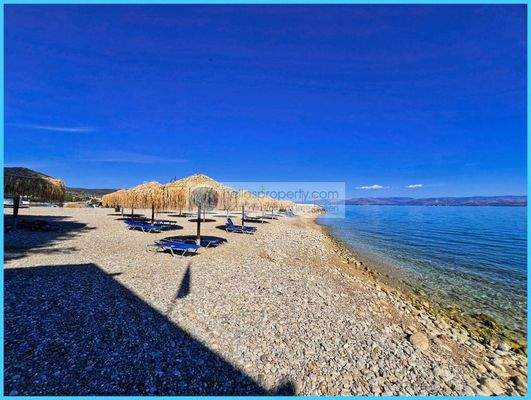 c091d8146c7c4fbab2339599aa9a469f-original