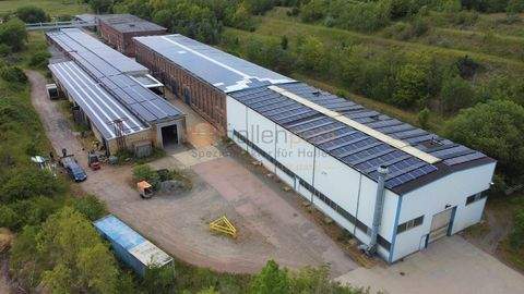 Harbke Halle, Harbke Hallenfläche