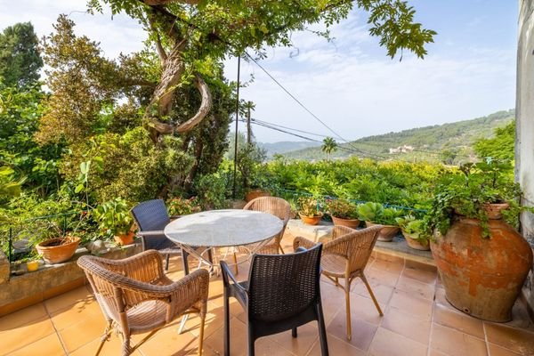 terrace views (1)