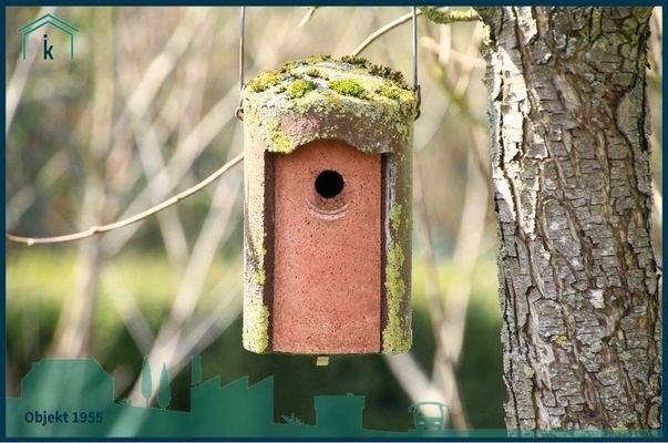 1955 so viele Details.jpg