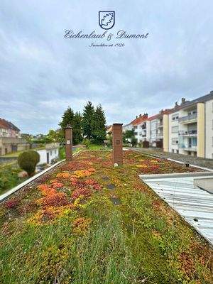 Dachbegrünung Anbau