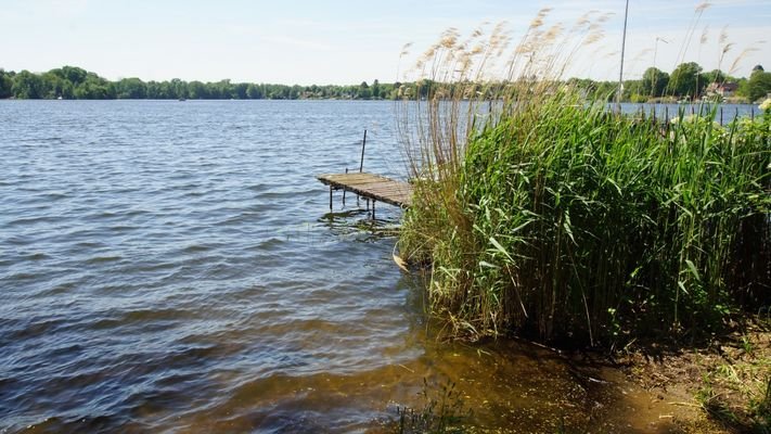 Dämeritzsee