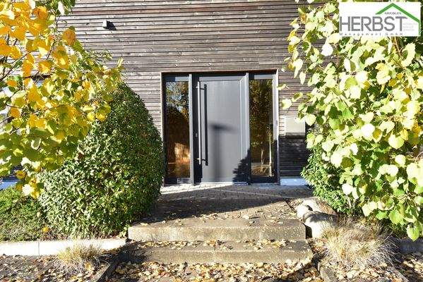 Repräsentativer Eingang